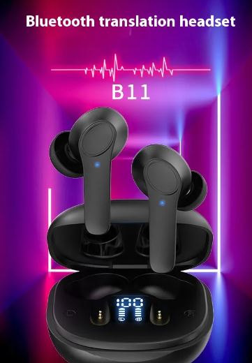 Wireless Bluetooth Translator Earbuds Paterva