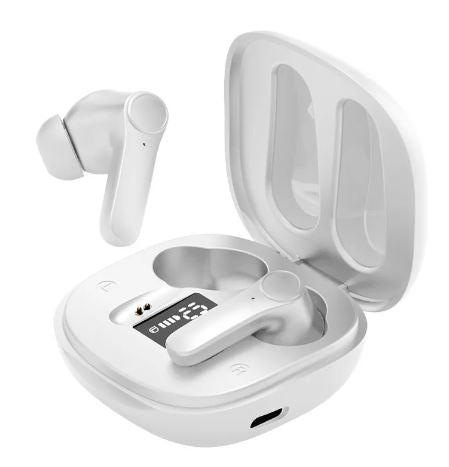 Wireless Bluetooth Translator Earbuds Paterva